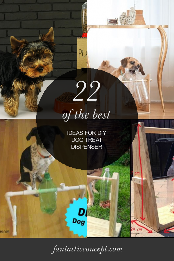 22 Of the Best Ideas for Diy Dog Treat Dispenser Home, Family, Style